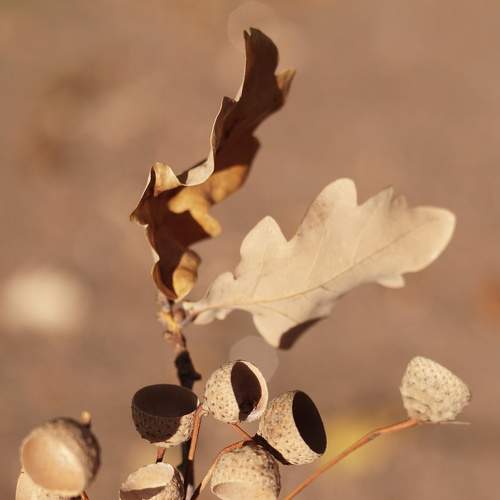 Photo #6675945
