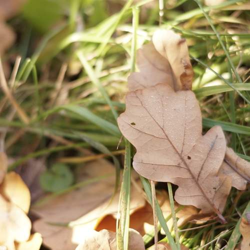 Photo #6675987