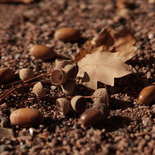 Photo #6675989