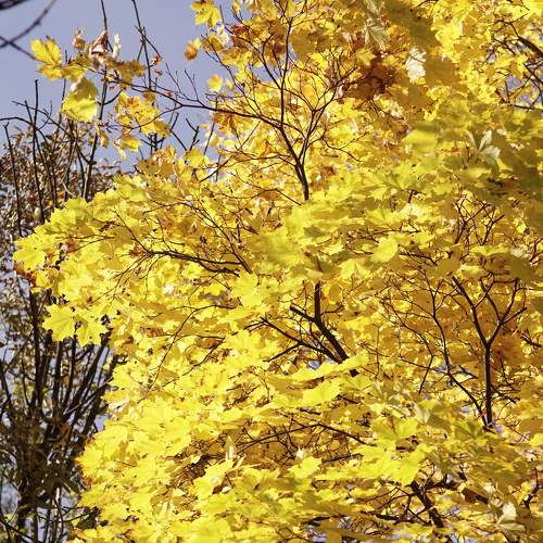Photo #6675997