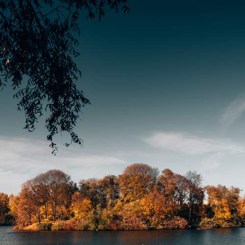 Photo #6676081