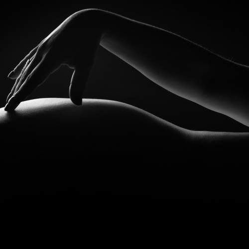 Photo #6676096