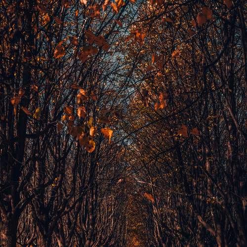 Photo #6676230