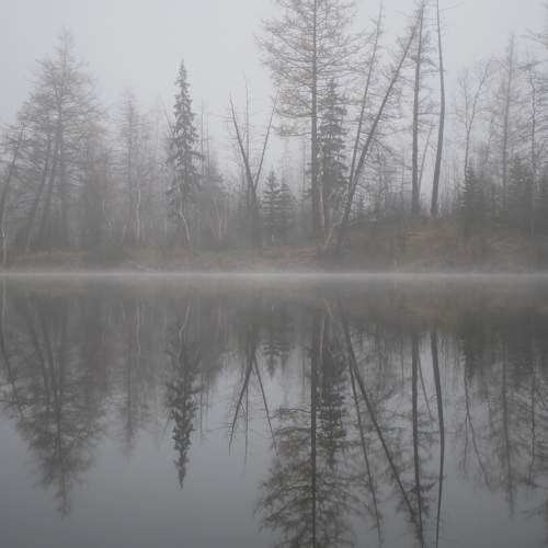 Photo #6676434
