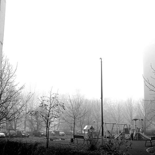 Photo #6676661