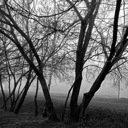 Photo #6676662
