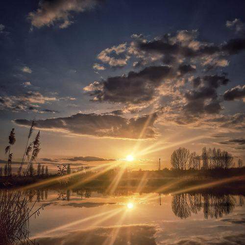 Photo #6676704