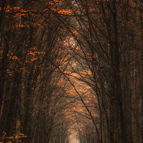 Photo #6676944