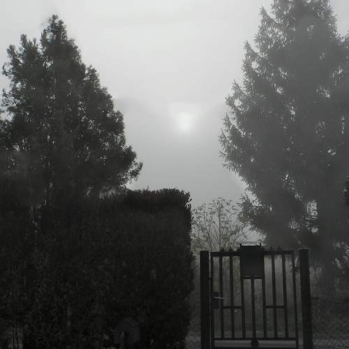 Photo #6676997
