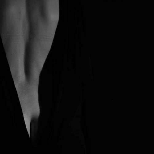 Photo #6677012