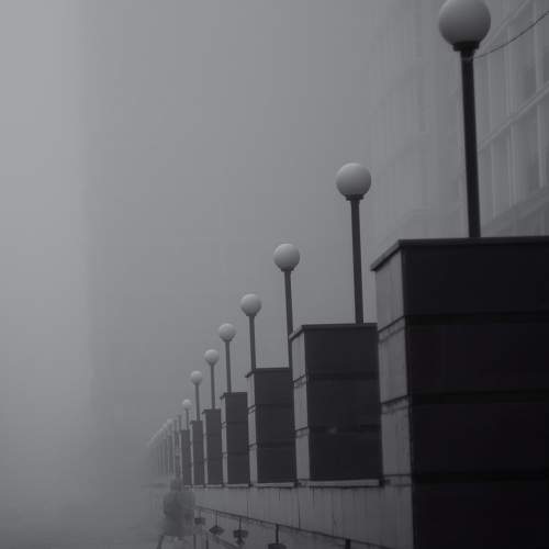 Photo #6677014
