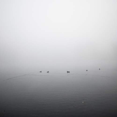 Photo #6677015