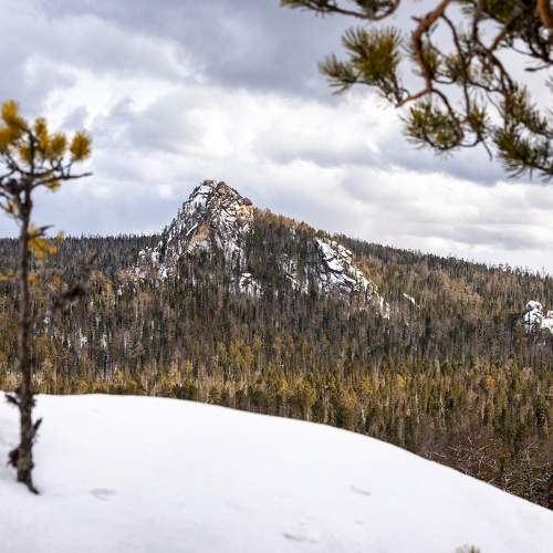 Photo #6677018