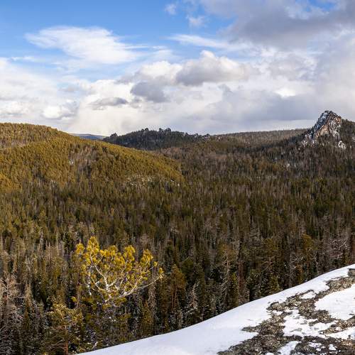 Photo #6677020