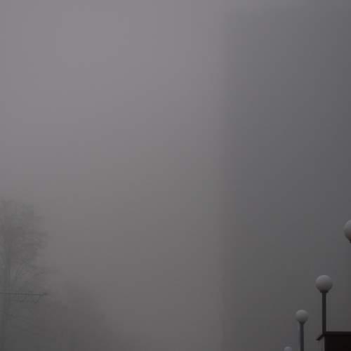 Photo #6677021