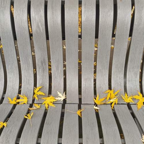 Photo #6677136