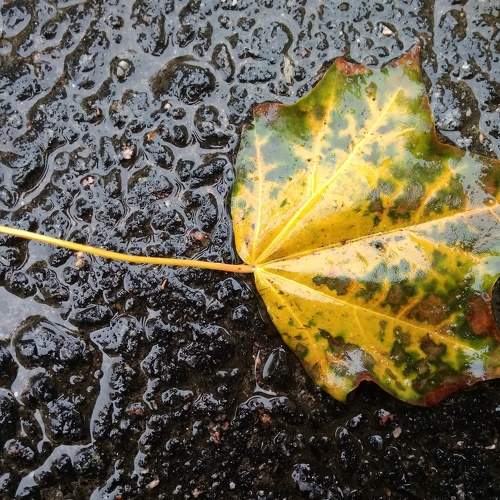 Photo #6677166