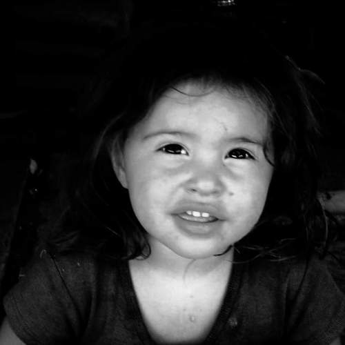 Photo #6677552