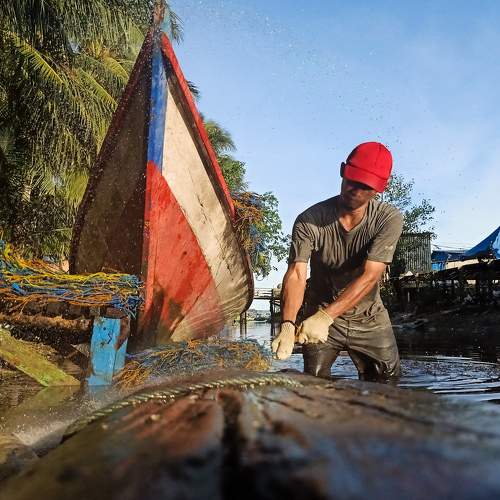Cleaning