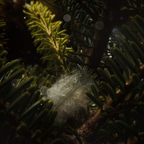Photo #6677860