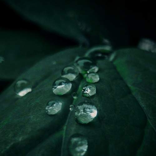 Photo #6677877