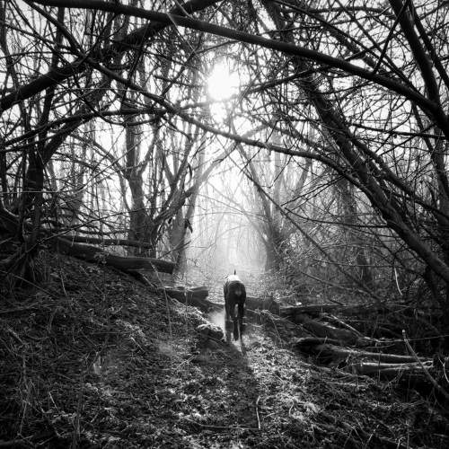 Photo #6677904