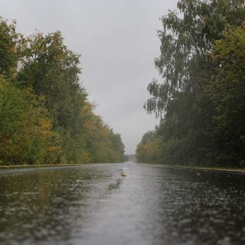 Photo #6677920