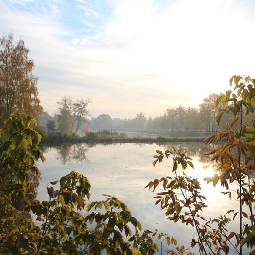 Photo #6677933