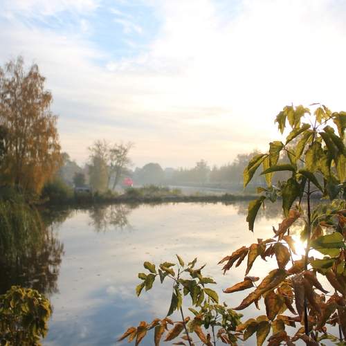 Photo #6677940