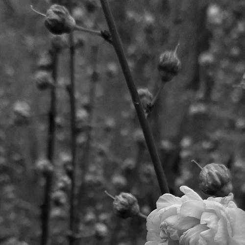 Photo #6677943