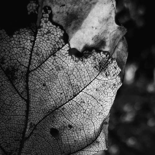 Photo #6677944