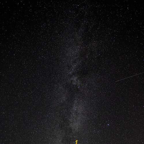 Photo #6678058