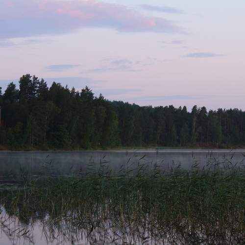 Photo #6678105