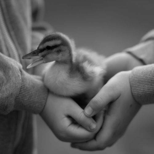 Photo #6678306