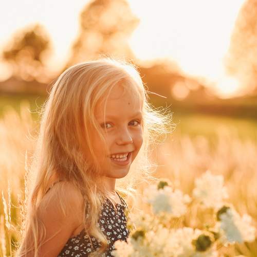 Photo #6678314