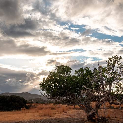 Фотография #6678353