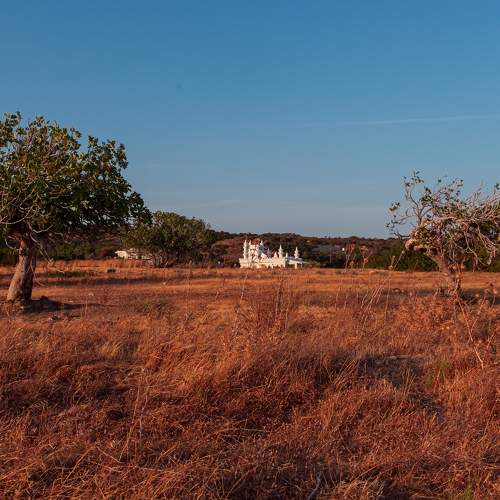 Фотография #6678366