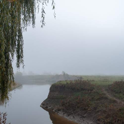 Photo #6678487