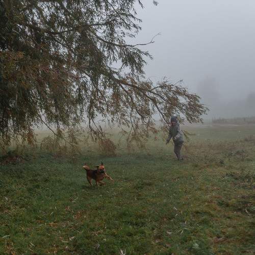 Photo #6678501