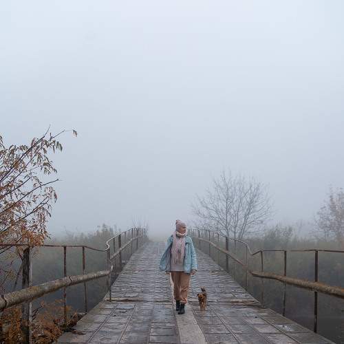 Photo #6678508