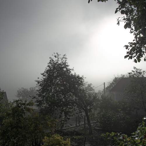 Photo #6678578