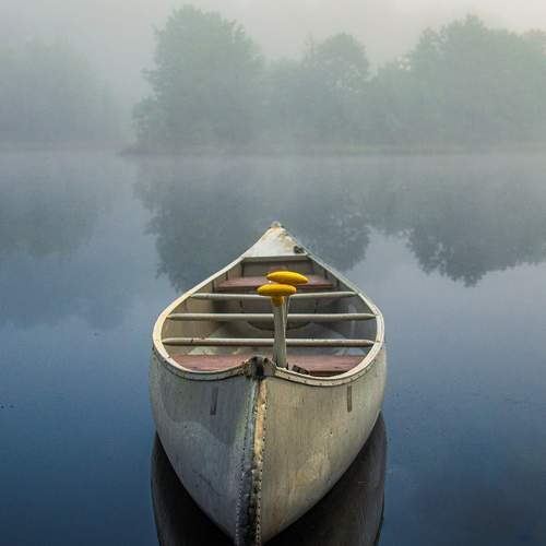 Photo #6678749