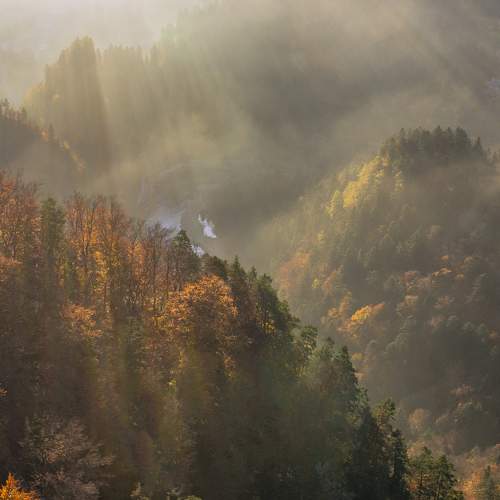 Photo #6678760