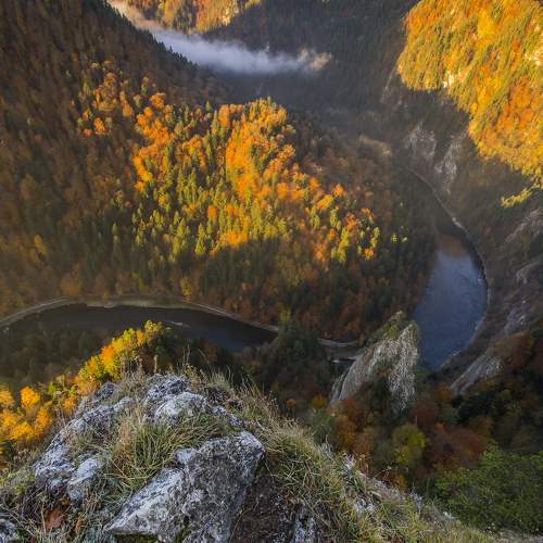 Photo #6678761