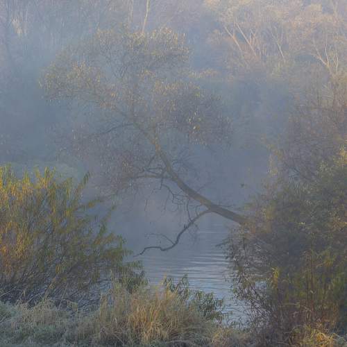 Photo #6678770