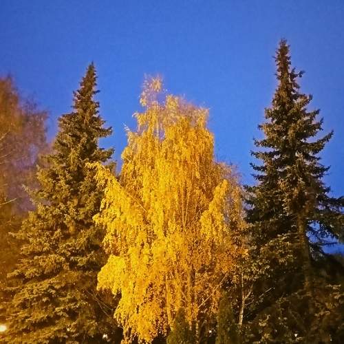 Photo #6678918