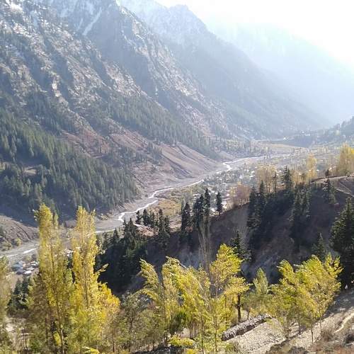 Photo #6679206