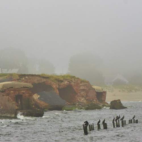 Photo #6679235