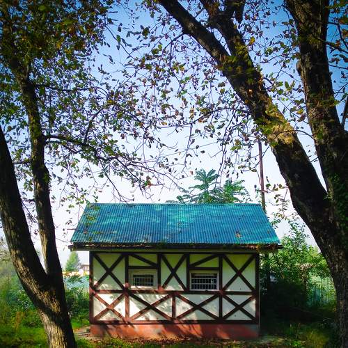 Photo #6679295