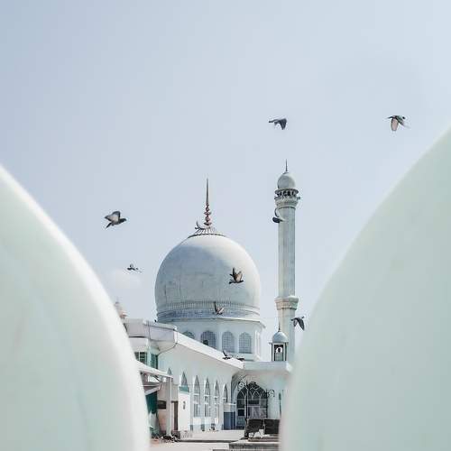 Photo #6679304